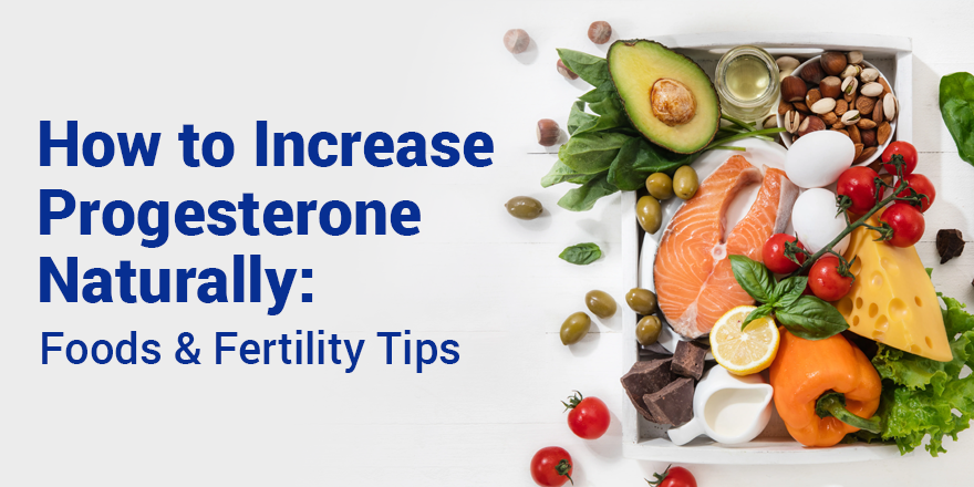 How to Increase Progesterone Naturally: Foods & Fertility Tips